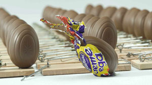 Cadbury’s Creme Egg