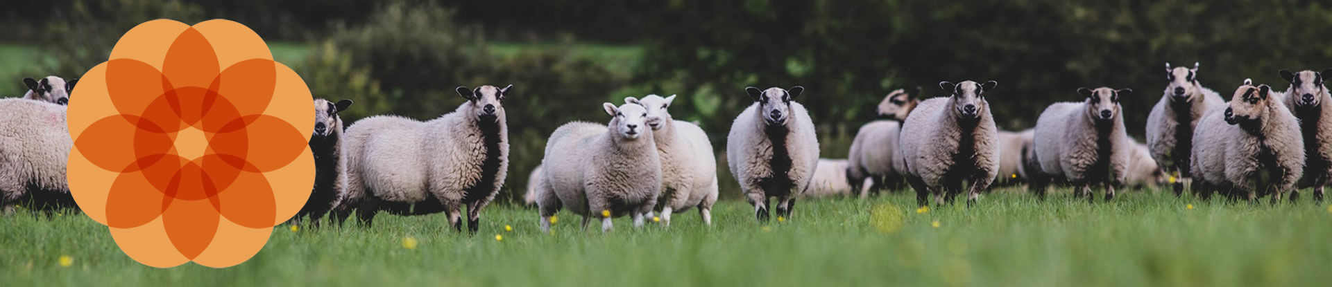 Our BAA Alumni